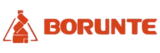 Robot Borunte